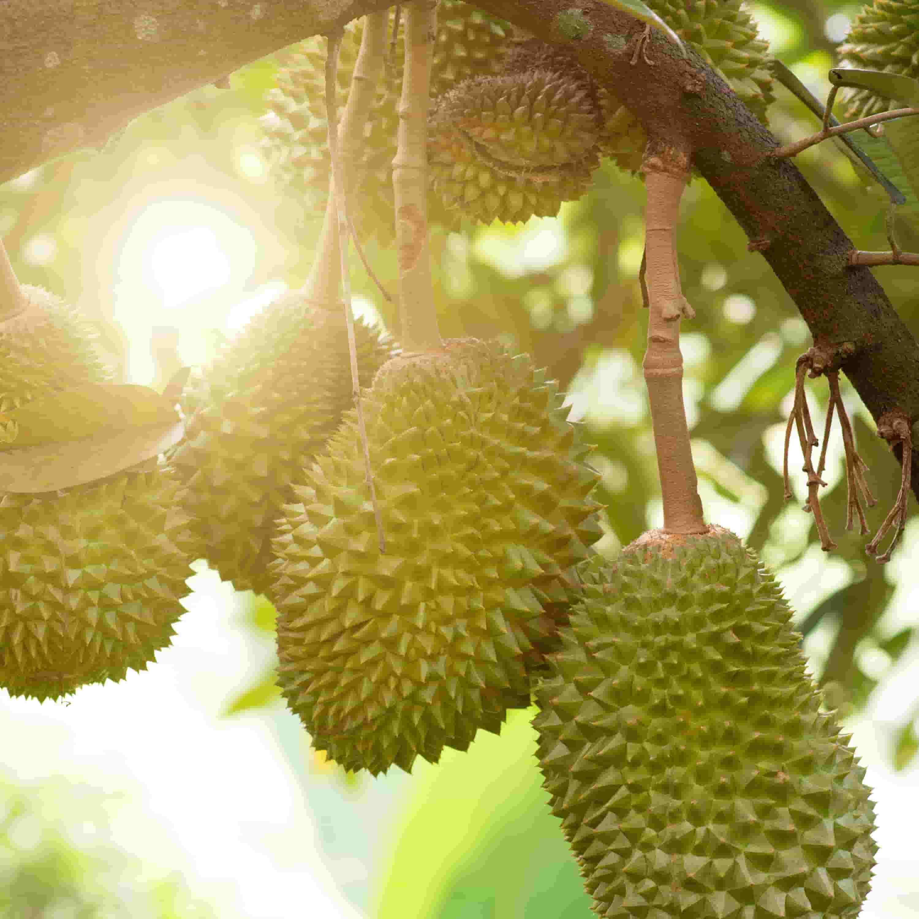 AdobeStock_210159091 (1)-min