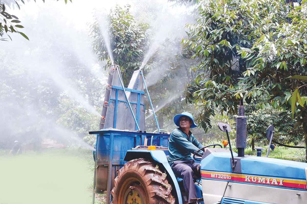 các biện pháp trị bệnh trên cây sầu riêng